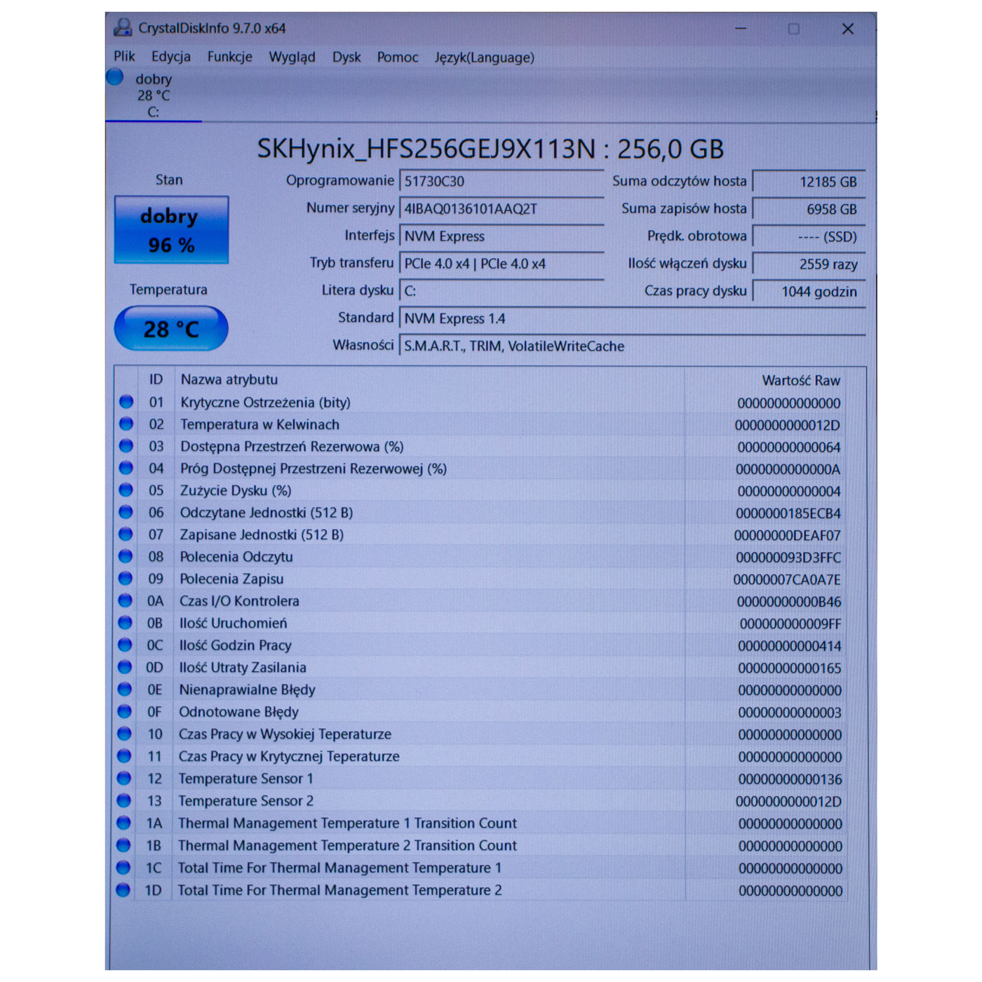 SK Hynix PCIe Gen 4x4 NVMe M.2 256 GB SSD Hard Drive