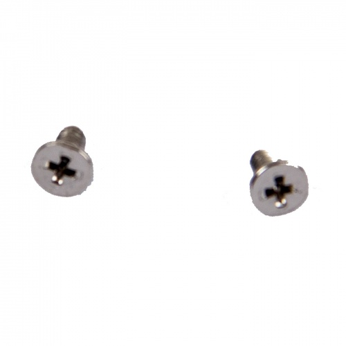 Screws Lenovo M2.0 × 4 mm silver