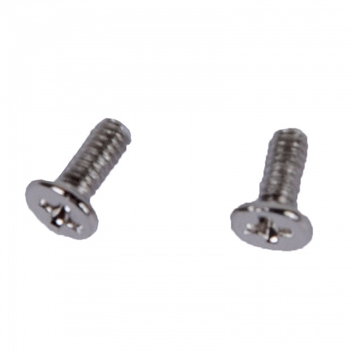 Screws Lenovo M2.0 × 5 mm silver