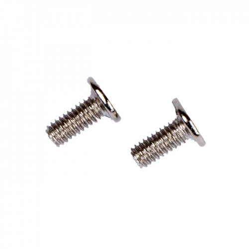Screws Lenovo M2.5 × 6 mm silver